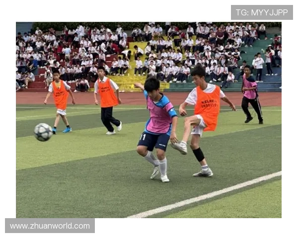 100足球星荣耀绽放全面盘点巨星风采与绿茵传奇故事